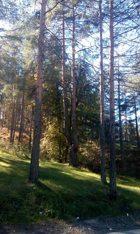 Apartment 9 Gorska Vila Zlatibor Esterno foto