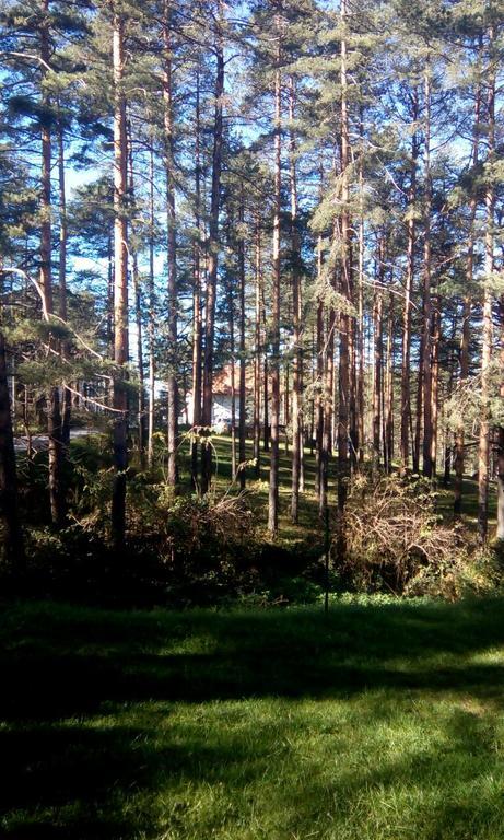 Apartment 9 Gorska Vila Zlatibor Esterno foto